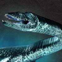 Plesiosaurus