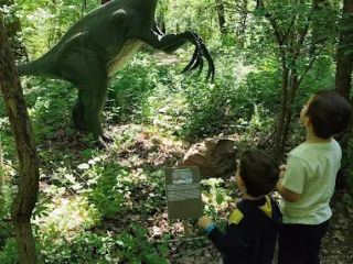 A fényképet készítette: Imola Csákó